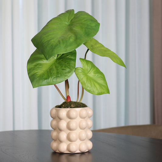 Künstliche Alocasia im beigen Bubble-Keramiktopf von Lumisa's Choice auf schwarzem Tisch.