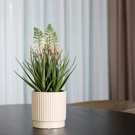 Künstliche Aloe von Lumisa’s Choice in beigem Keramiktopf auf auf schwarzem Tisch.