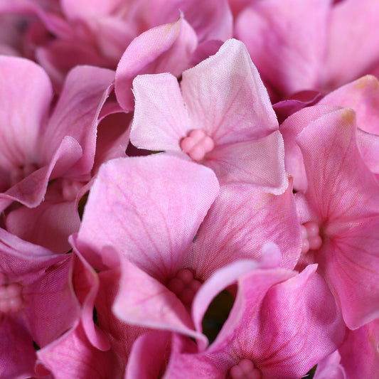 Detailaufnahme von Blüten einer künstlichen Hortensie in Pink