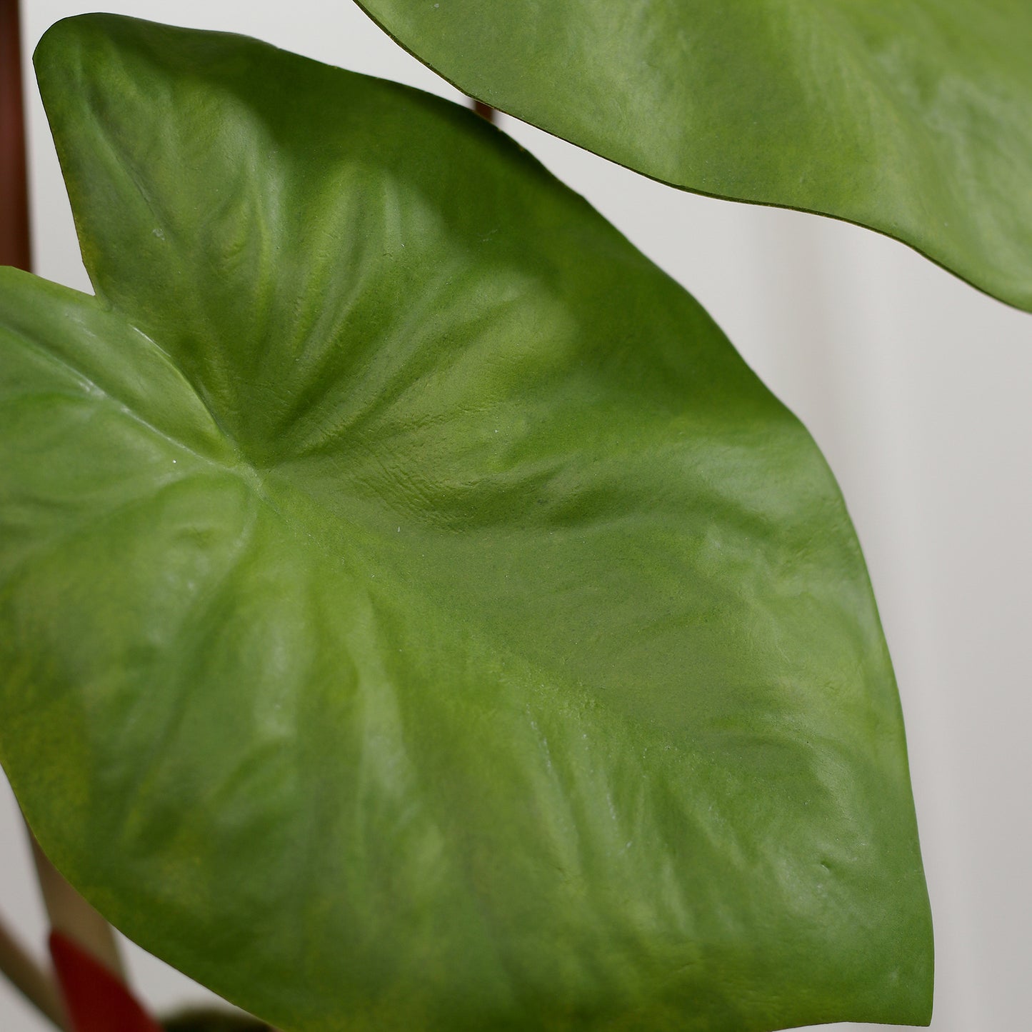 Detailbild eines Blatts vom künstlichen Alocasia von Lumisa's Choice im beigen Bubble-Keramiktopf.