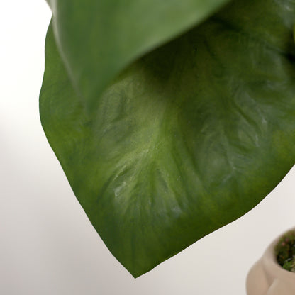 Detailbild eines Blatts vom künstlichen Alocasia von Lumisa's Choice.