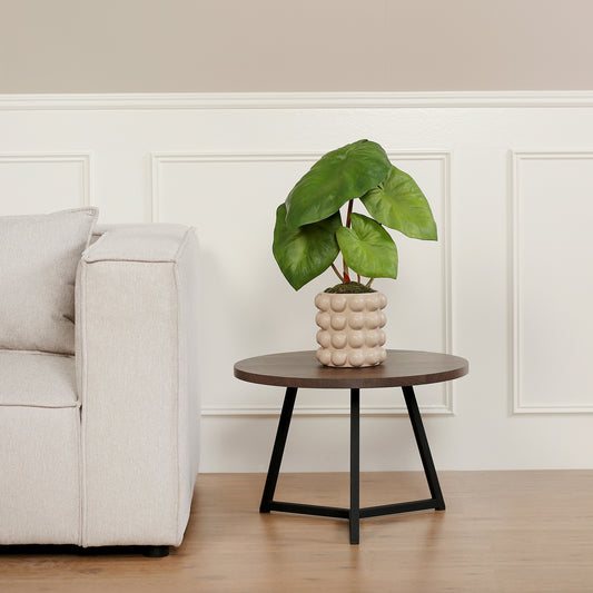 Künstliche Alocasia im beigen Bubble-Keramiktopf von Lumisa's Choice auf Beistelltisch neben Sofa.
