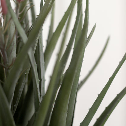 Detailbild vom künstlichen Aloe in beigem Keramiktopf von Lumisa’s Choice.