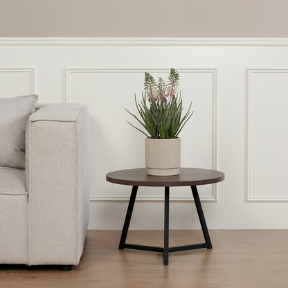 Künstliche Aloe von Lumisa’s Choice in beigem Keramiktopf auf rundem Beistelltisch neben Sofa.