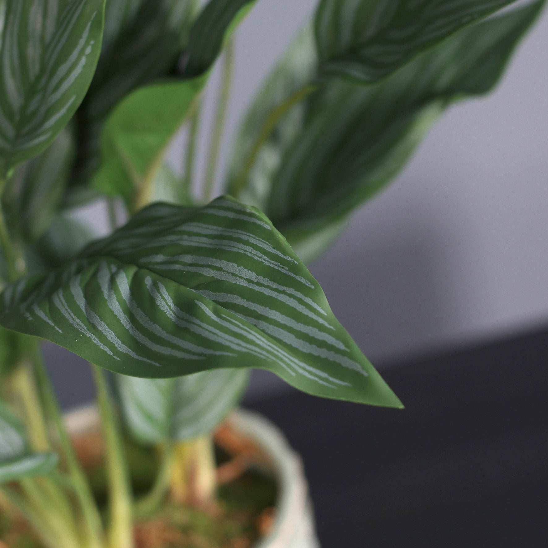 Detailbild von künstlicher Grünpflanze Calathea im Keramiktopf von Lumisa’s Choice.