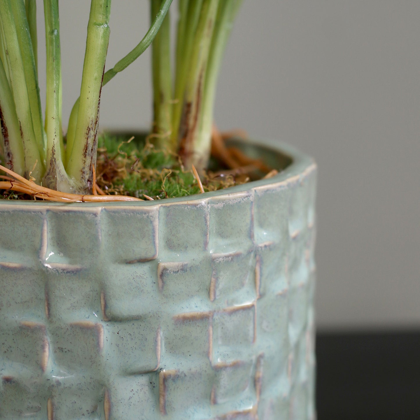 Detailbild des grünen Keramiktopfs der künstlichen Grünpflanze Calathea von Lumisa’s Choice.