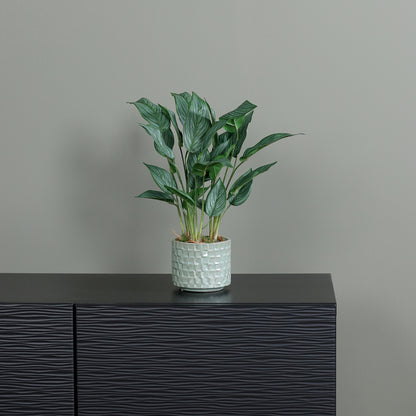 Künstliche Calathea von Lumisa’s Choice in mintgrünem Keramiktopf auf dunklem Sideboard vor grauer Wand.
