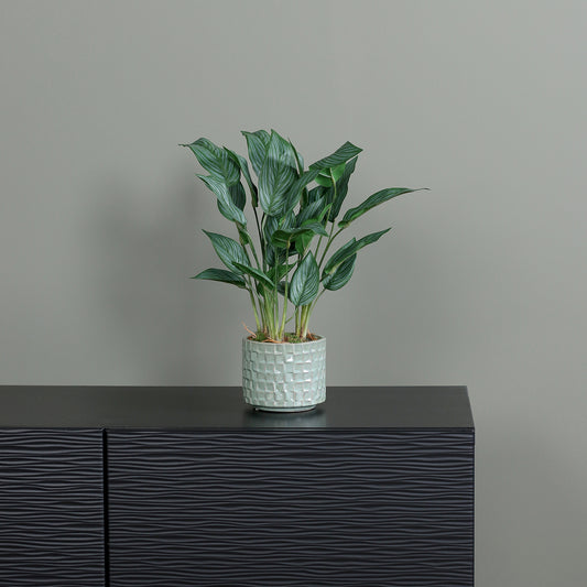 Künstliche Calathea von Lumisa’s Choice in mintgrünem Keramiktopf auf dunklem Sideboard vor grauer Wand.