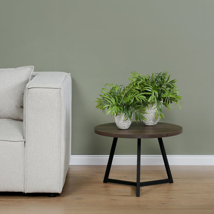 Zwei künstliche Chico-Pflanzen im Set in weißen Keramiktöpfen Lumisa’s Choice auf rundem Holztisch neben hellem Sofa.