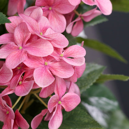 künstliche hortensie pink detail blütenstruktur