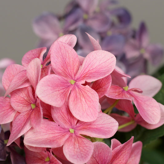 künstliche hortensie pink detail blüten