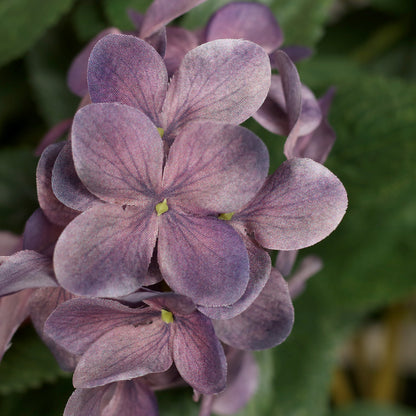 künstliche hortensie pink lila nahaufnahme