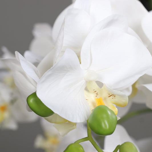 Nahaufnahme künstliche Classic Orchidee klein Blüten