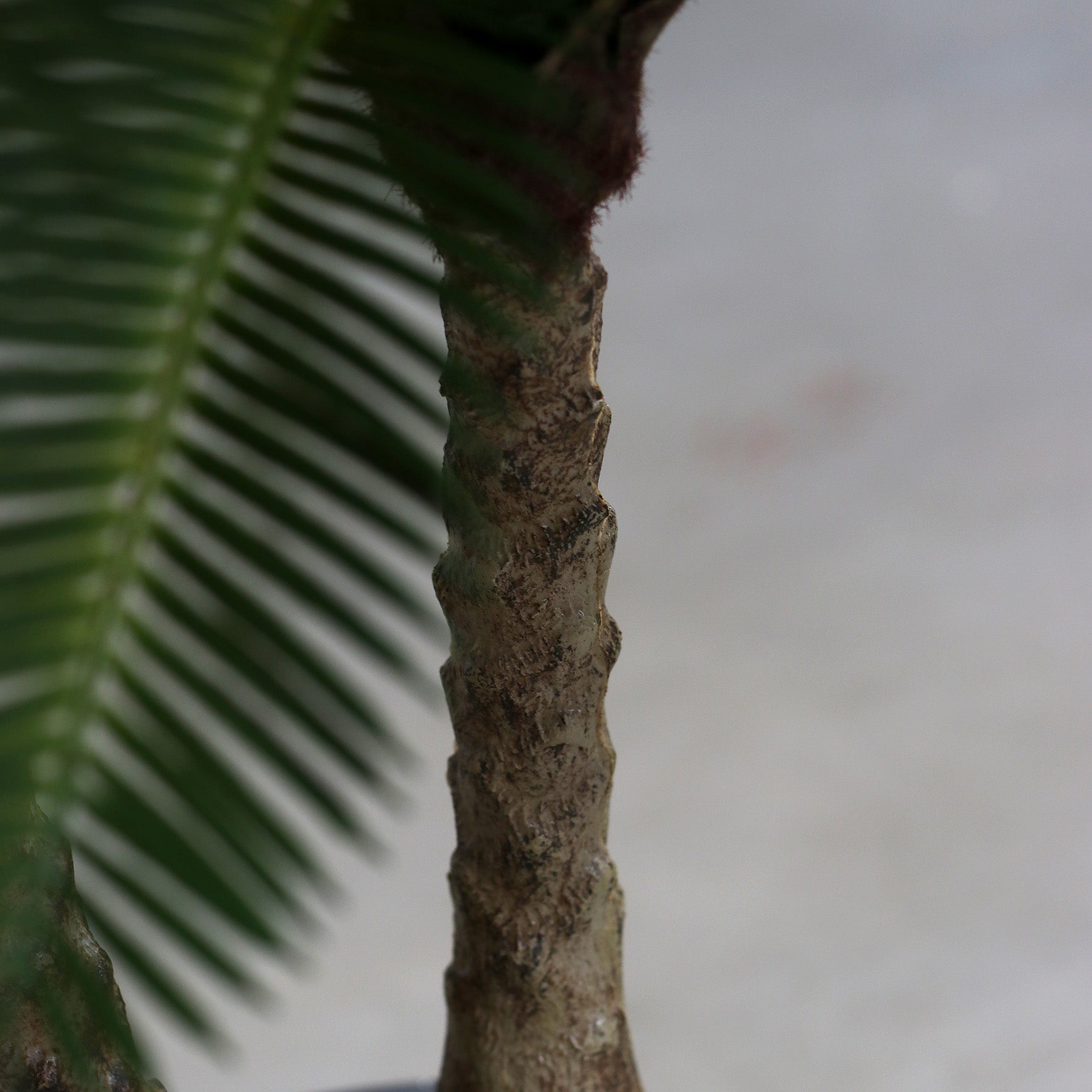 Künstliche Grünpflanze Cycas Palme Detailbild Stamm