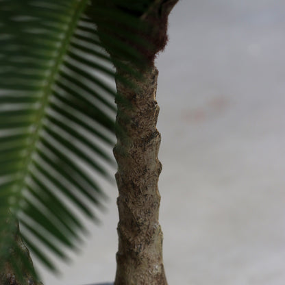 Künstliche Grünpflanze Cycas Palme Detailbild Stamm