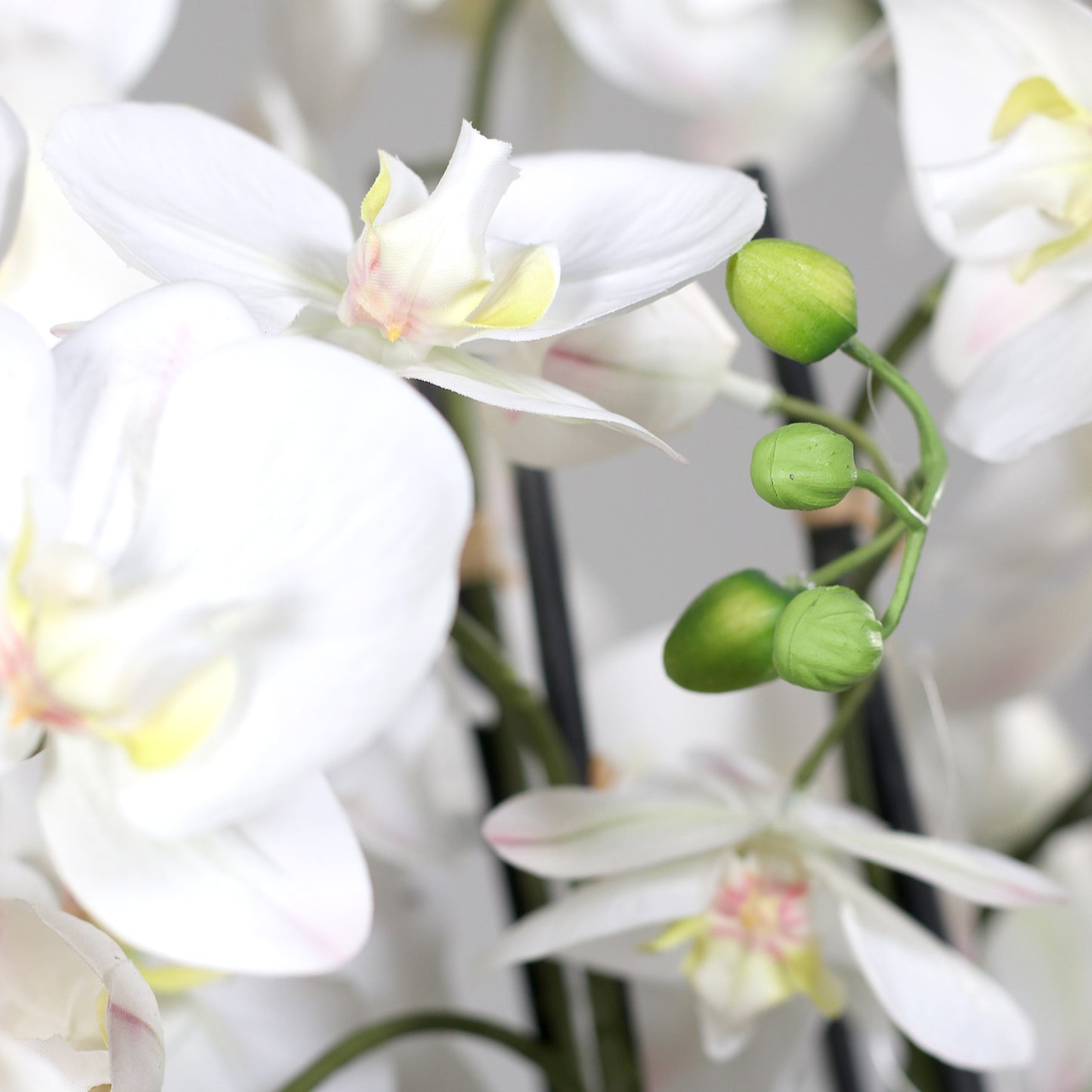 Künstliche Elegance Orchidee groß Detailbild weiße Blüten und Knospen