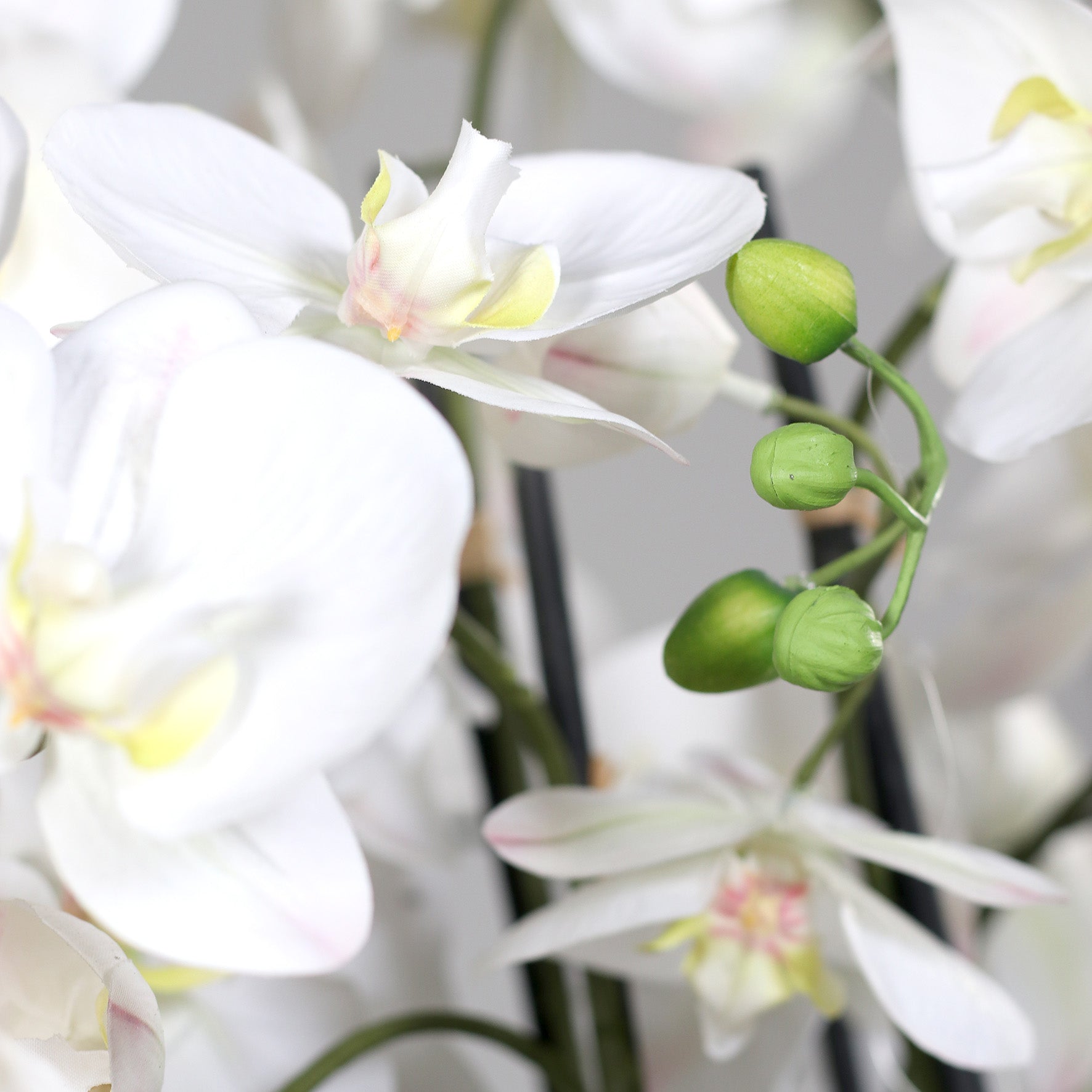 Künstliche Elegance Orchidee groß Detailbild weiße Blüten und Knospen