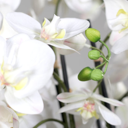 Künstliche Elegance Orchidee groß Detailbild weiße Blüten und Knospen