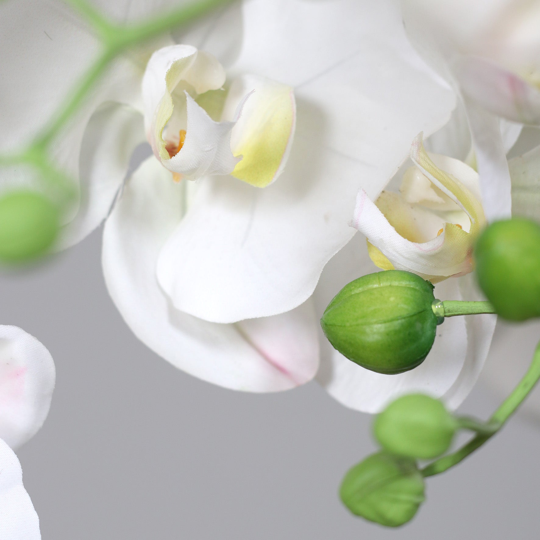 Künstliche Elegance Orchidee groß Detailbild weiße Blüten