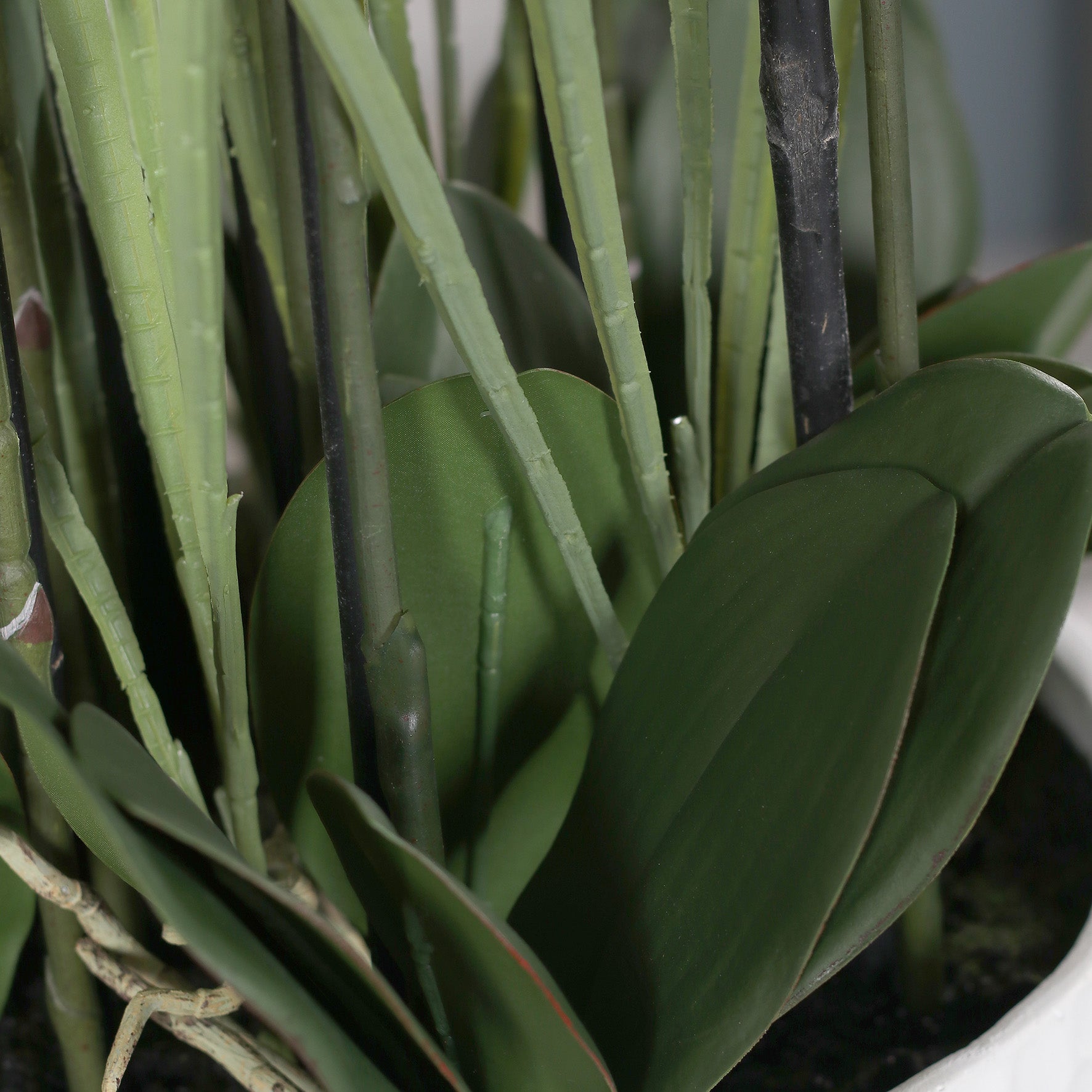 Künstliche Elegance Orchidee groß Detailbild Stielansatz mit Blätter