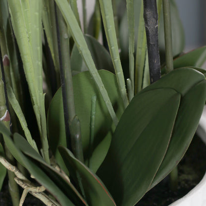 Künstliche Elegance Orchidee groß Detailbild Stielansatz mit Blätter
