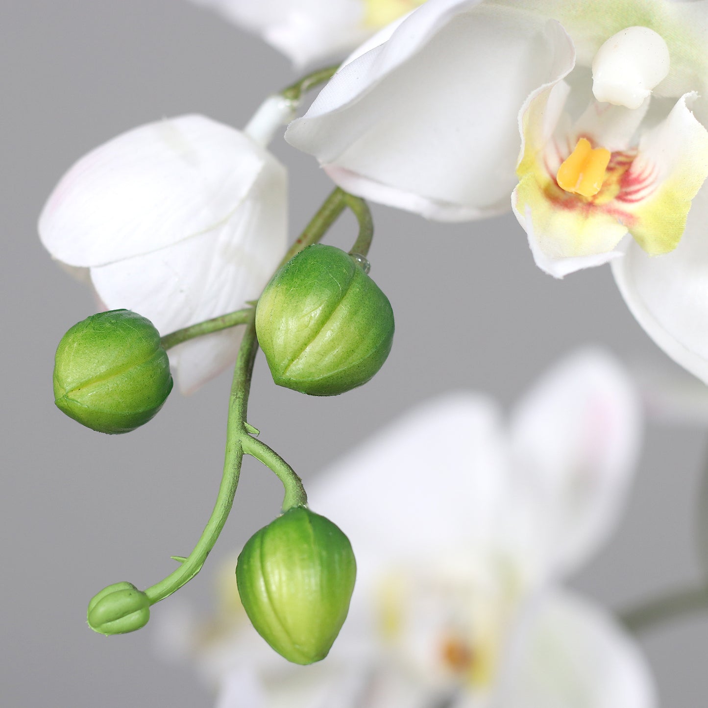 Detailaufnahme Knospe künstliche Elegance Orchidee klein