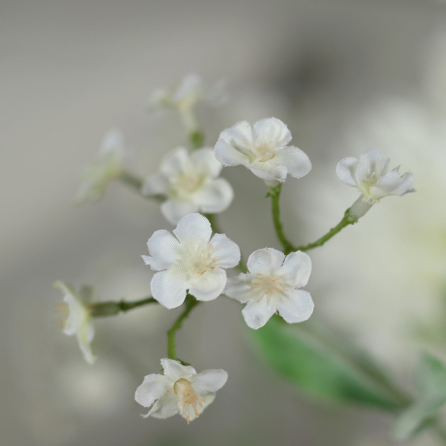 Detailbild von weißen Blüten vom künstlichen Blumenstrauß Flower Bubble von Lumisa’s Choice in heller Vase.