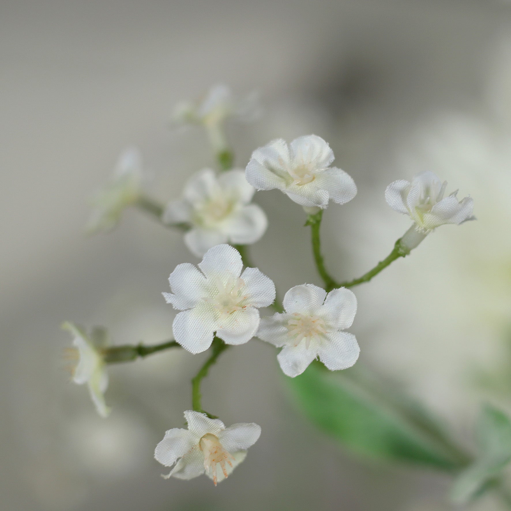 Detailbild von weißen Blüten vom künstlichen Blumenstrauß Flower Bubble von Lumisa’s Choice in heller Vase.