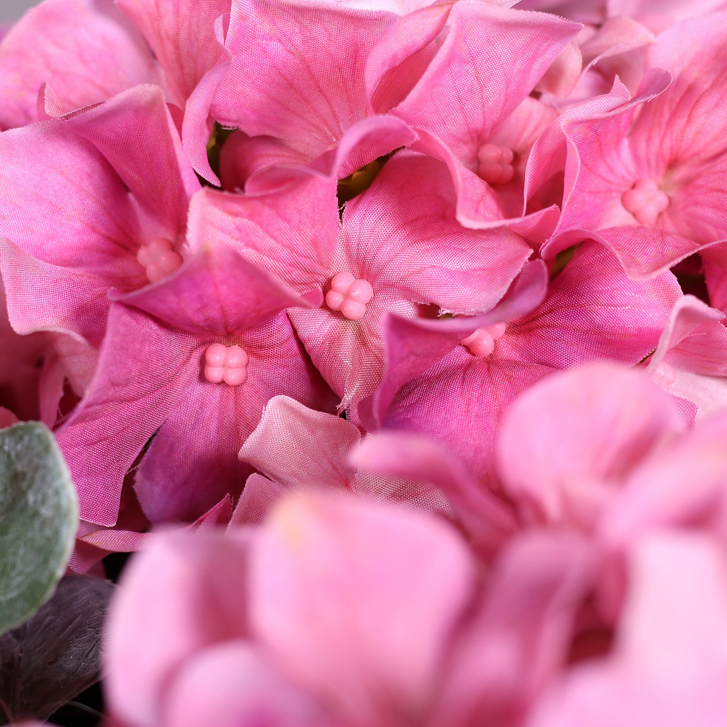 Detailaufnahme von pinken Blüten einer künstlichen Hortensie