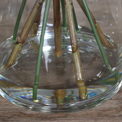 Glasvase mit Wasser aus Acryl und künstlichem Blumenstiel