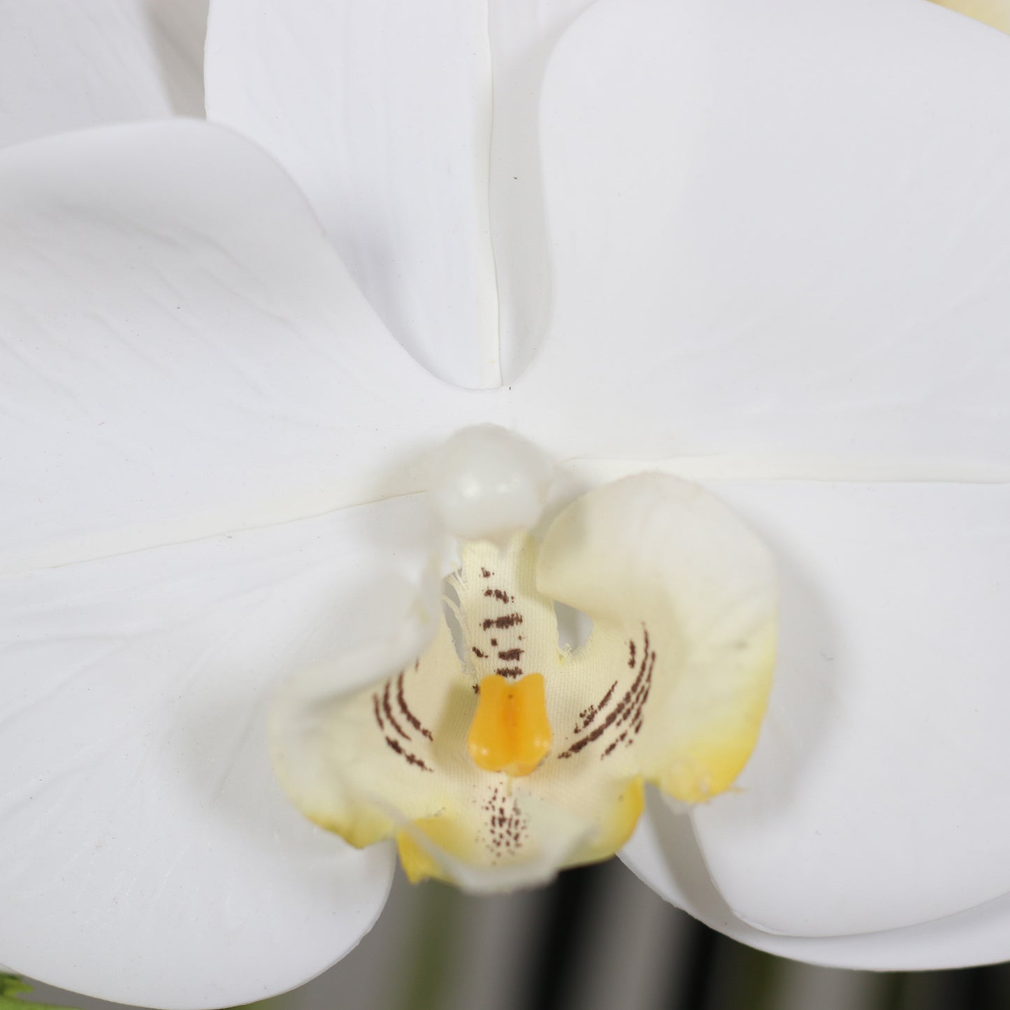 Künstliche Natural Orchidee Detail weiße Blüten