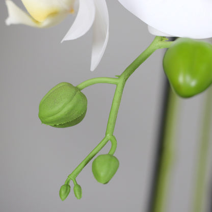 Künstliche Natural Orchidee Detail Knospen