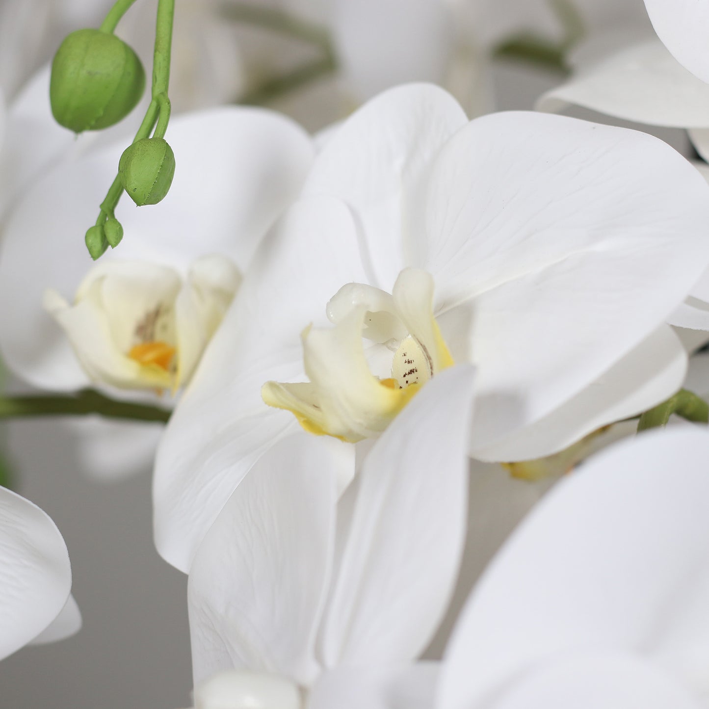 Künstliche Natural Orchidee Detail Blütenstruktur