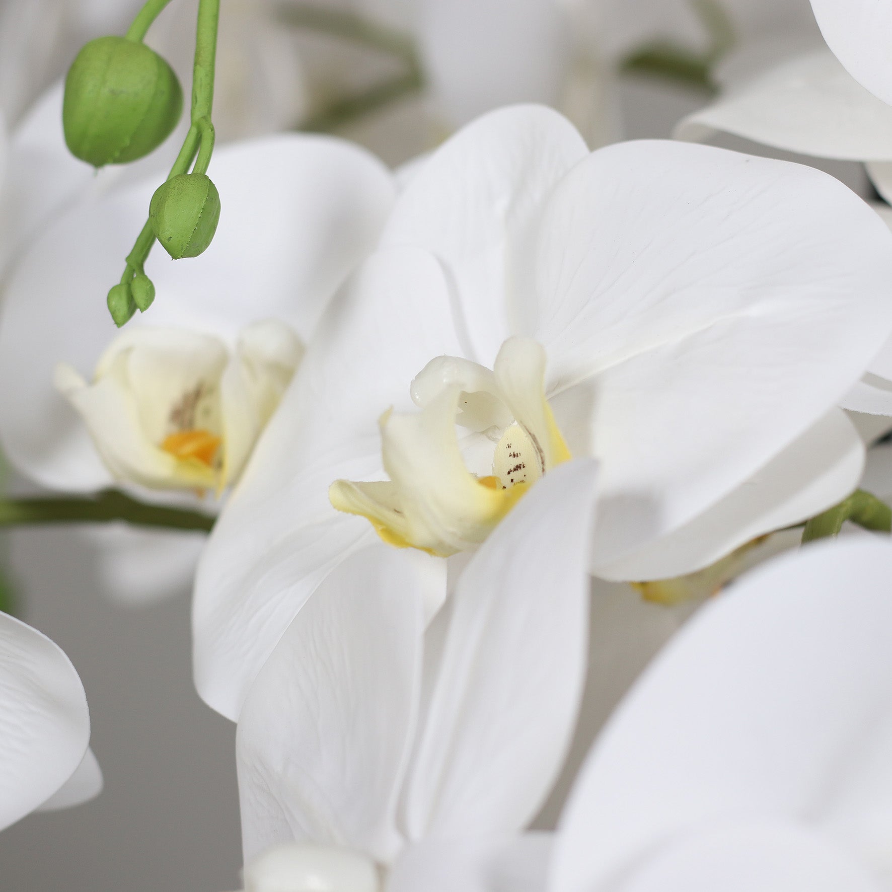 Künstliche Natural Orchidee Detail Blütenstruktur