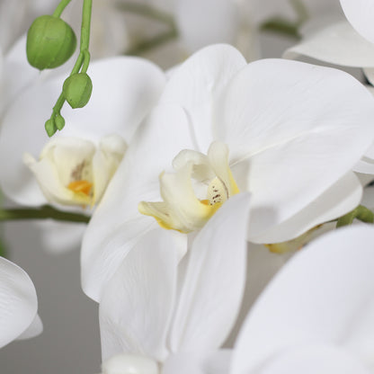 Künstliche Natural Orchidee Detail Blütenstruktur