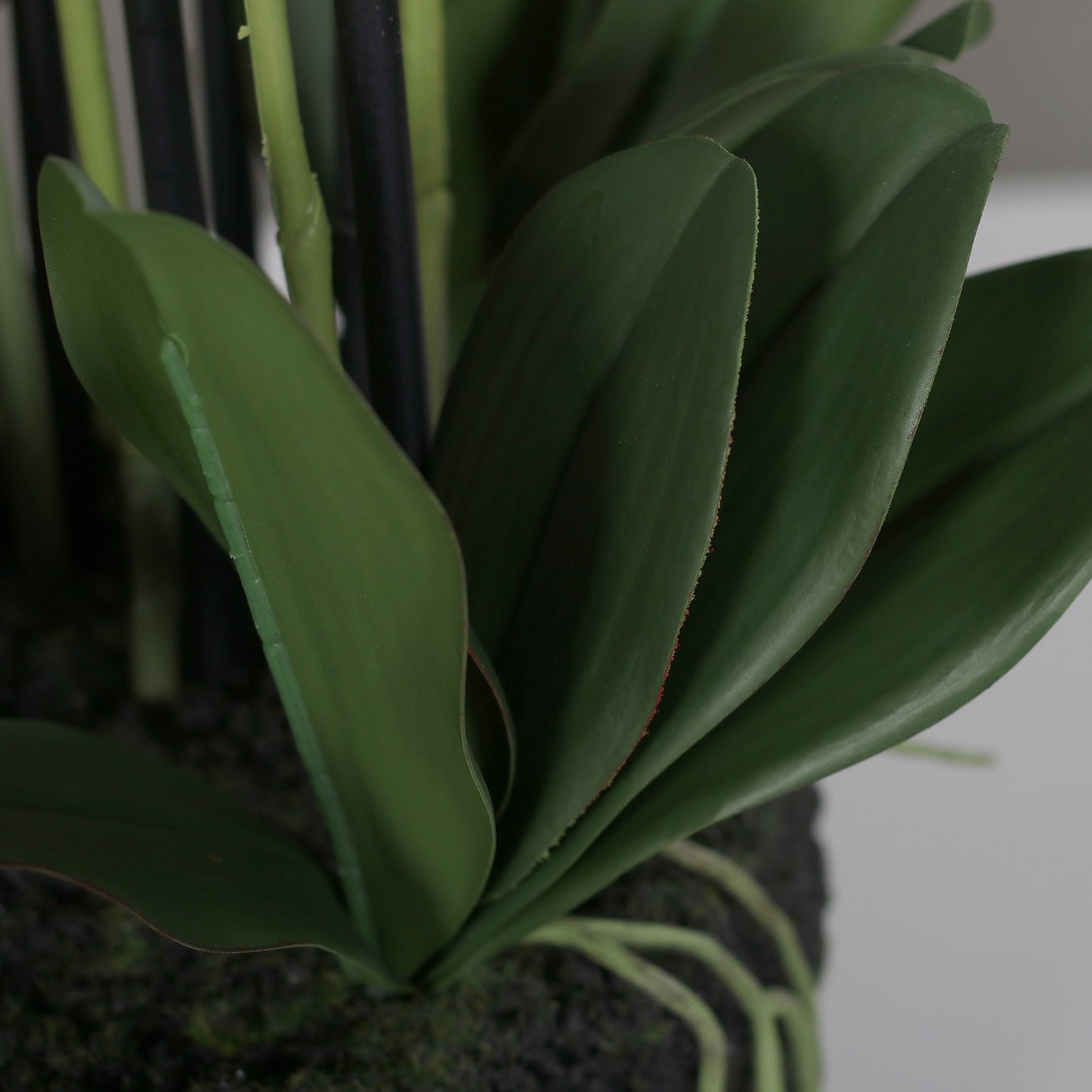Künstliche Natural Orchidee Detail Stielansatz mit Blätter