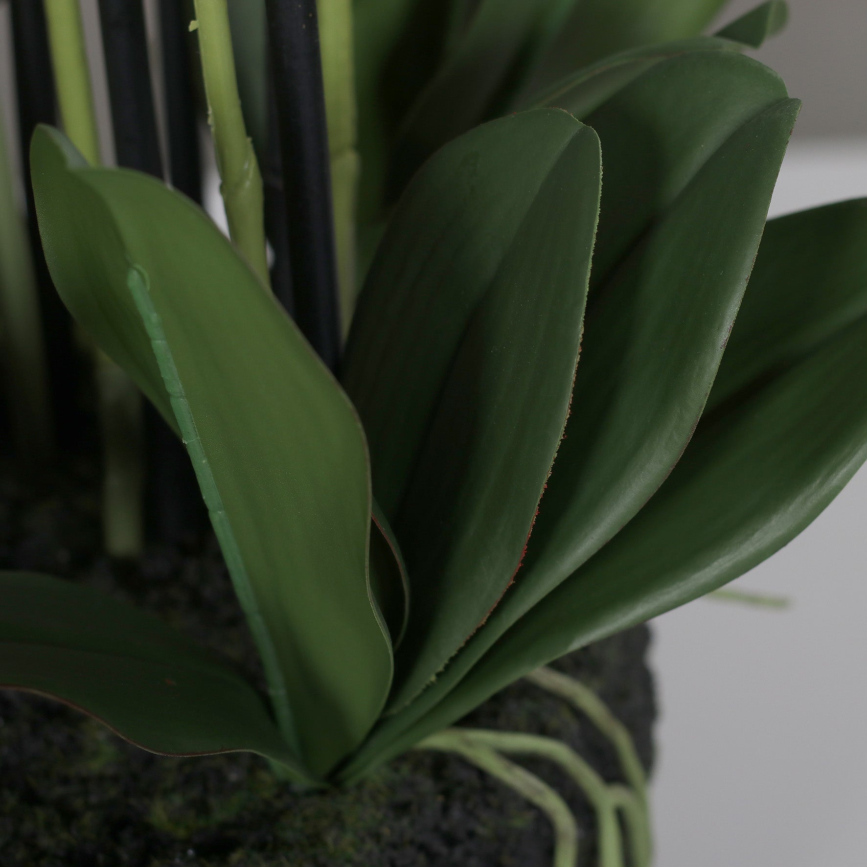 Künstliche Natural Orchidee Detail Stielansatz mit Blätter