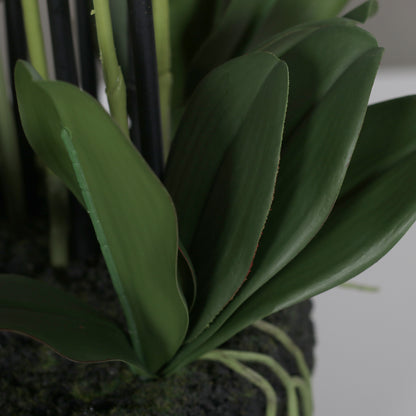Künstliche Natural Orchidee Detail Stielansatz mit Blätter