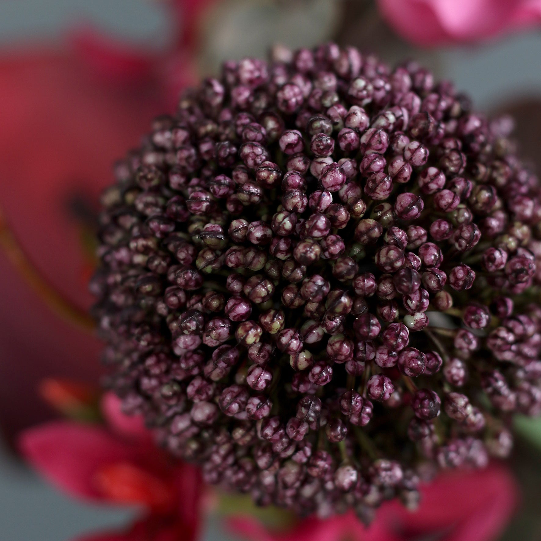 Detailbild einer lila Blüte vom künstlichen Blumenstrauß Pink Passion von Lumisa’s Choice in kräftigen Pinktönen.