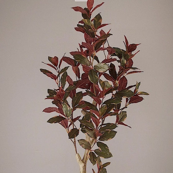 Künstliche Grünpflanze Carpensia von Lumisa’s Choice in beigem Bubble-Keramiktopf, 360-Grad-Ansicht mit Drehung.