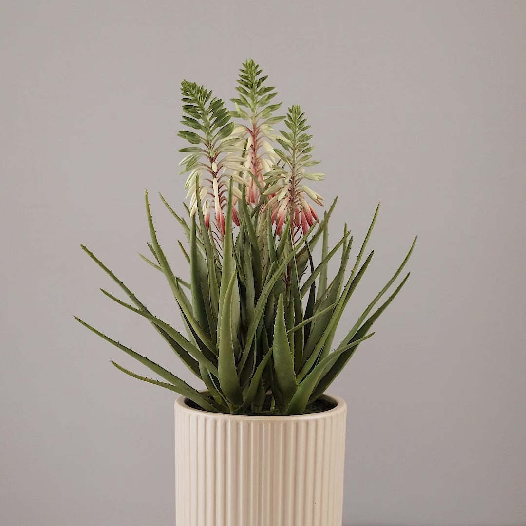 Künstliche Aloe von Lumisa’s Choice in beigem Keramiktopf, 360-Grad-Ansicht mit Drehung.