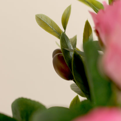 Detailbild einer Olive vom künstlichen Blumenstrauß Rose Mono Bouquet Pink von Lumisa’s Choice mit pinkfarbenen Blüten und Olivenzweigen.