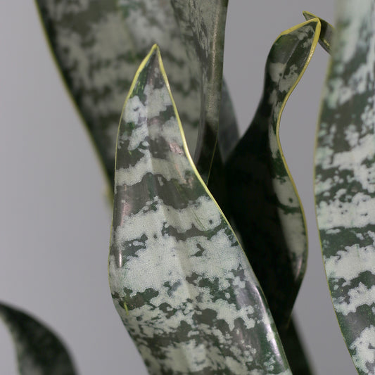 Detailbild vom Blatt der künstlichen Grünpflanze Sansevieria in grünem Keramiktopf von Lumisa’s Choice.