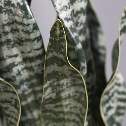 Detailbild vom Blatt der künstlichen Grünpflanze Sansevieria in grünem Keramiktopf von Lumisa’s Choice.