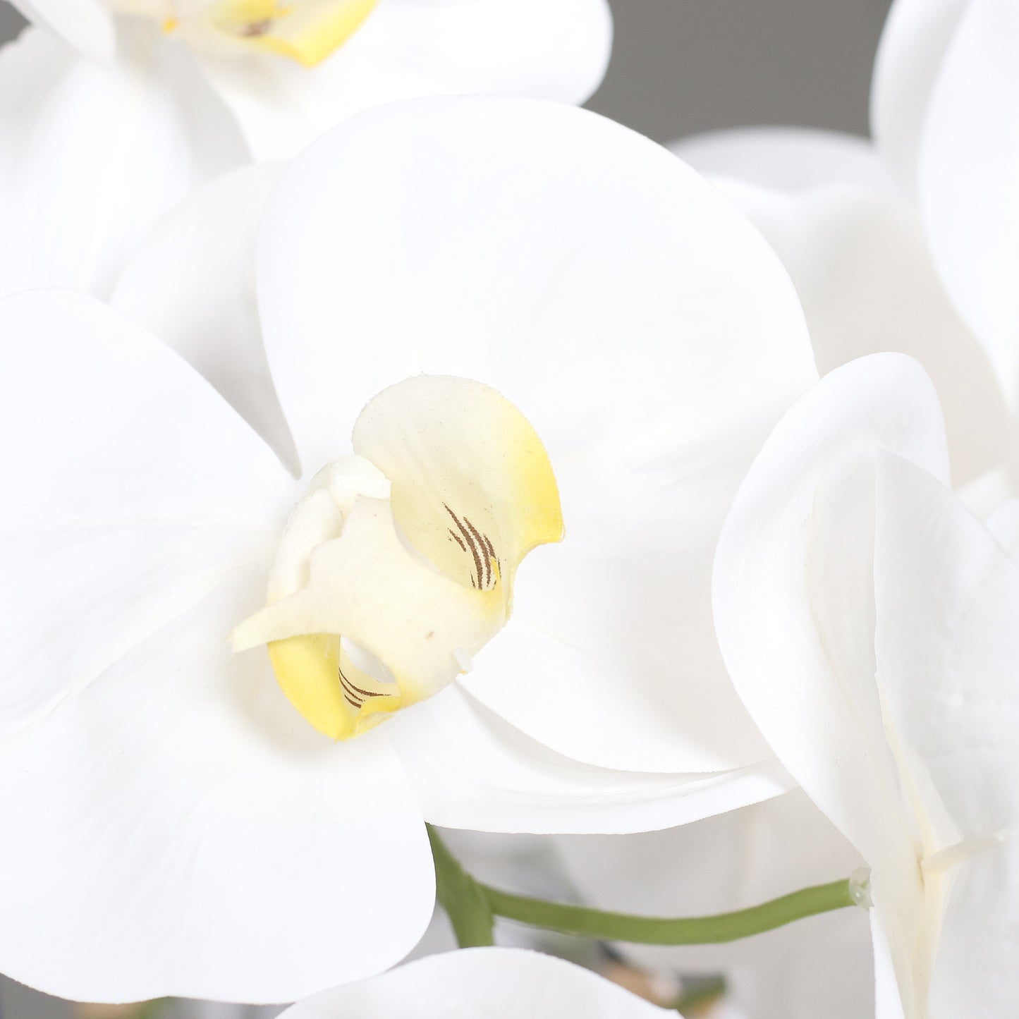 Künstliche Signature Orchidee groß Detailbild weiße Blüten