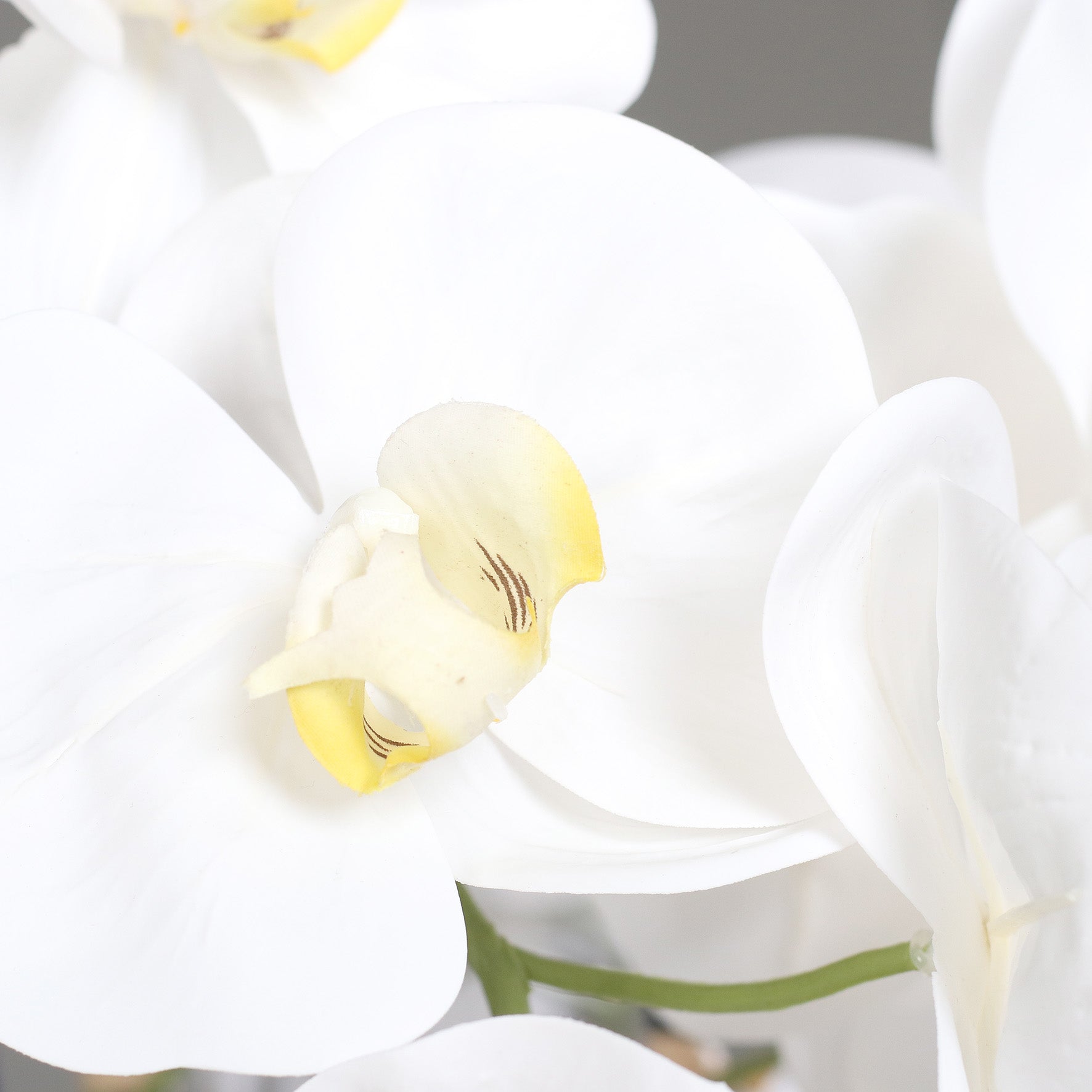 Künstliche Signature Orchidee groß Detailbild weiße Blüten