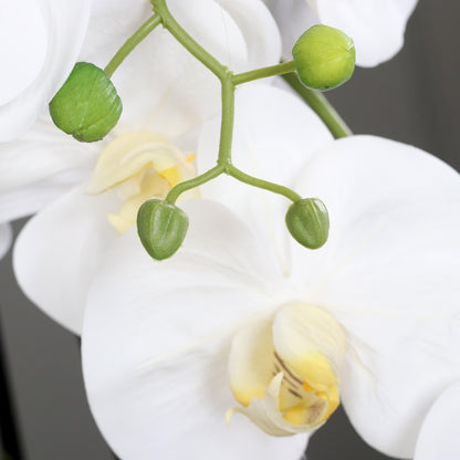 Künstliche Signature Orchidee groß Detailbild weiße Blütenstruktur