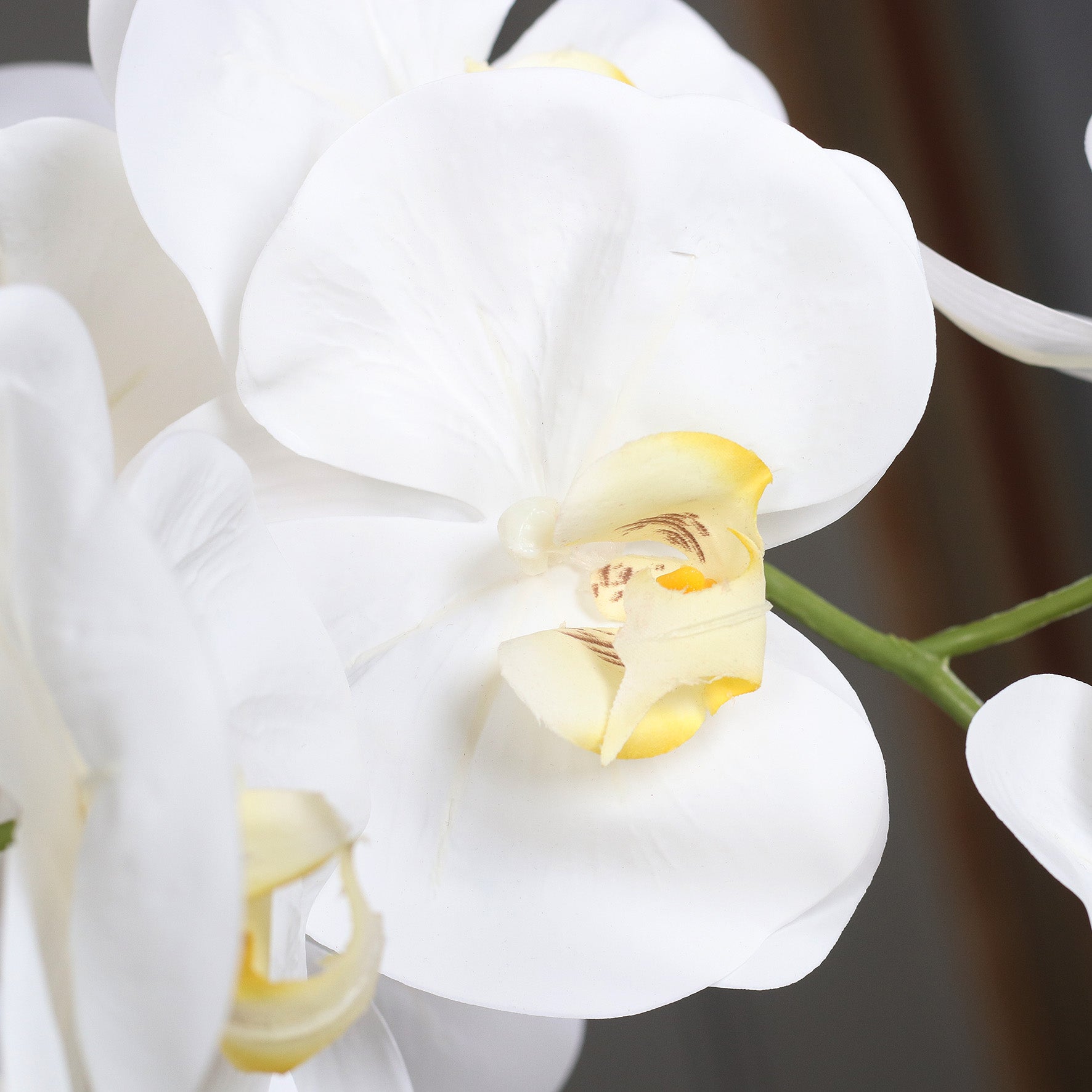 Künstliche Signature Orchidee groß Detail weiße Blüten