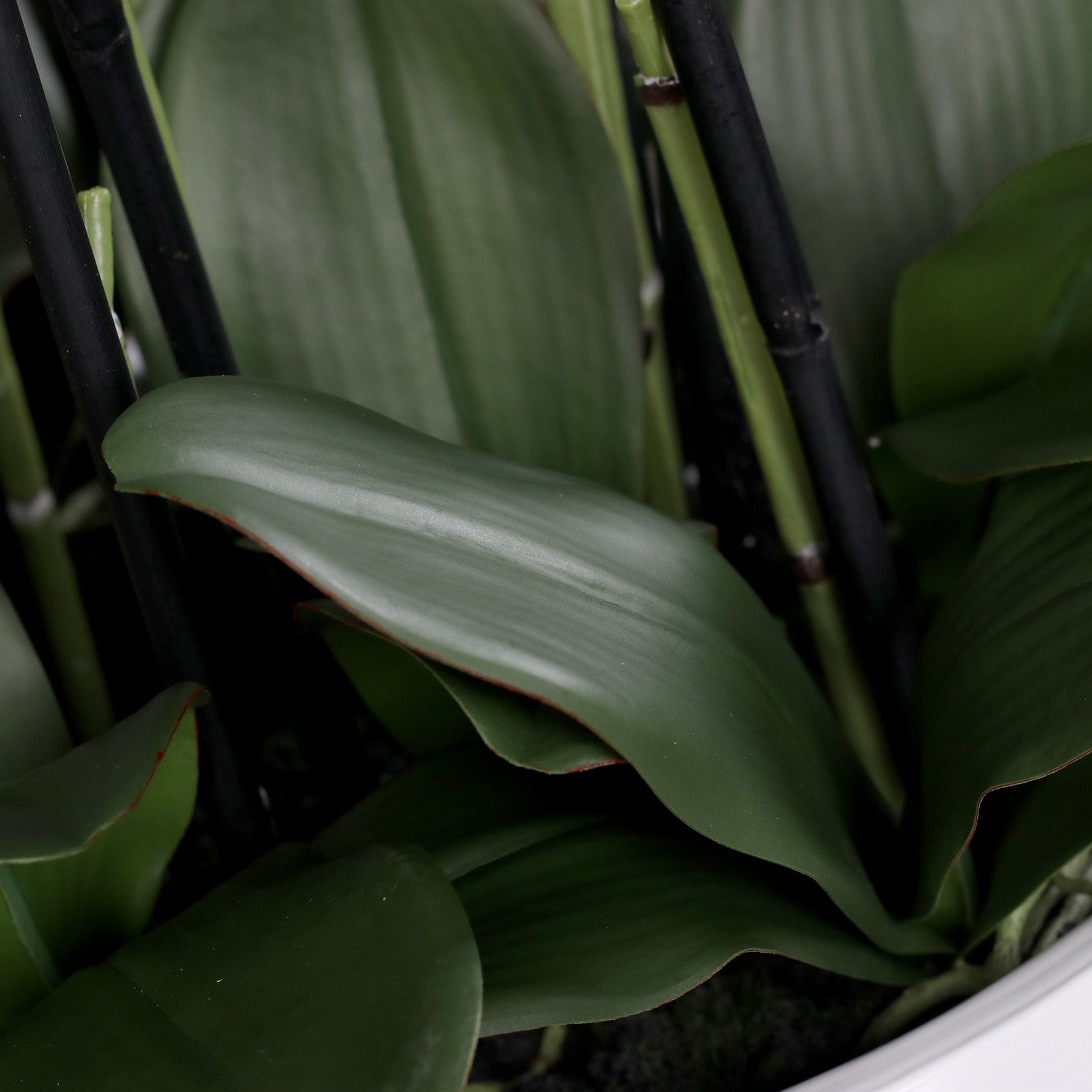 Künstliche Signature Orchidee groß Detail Stielansatz