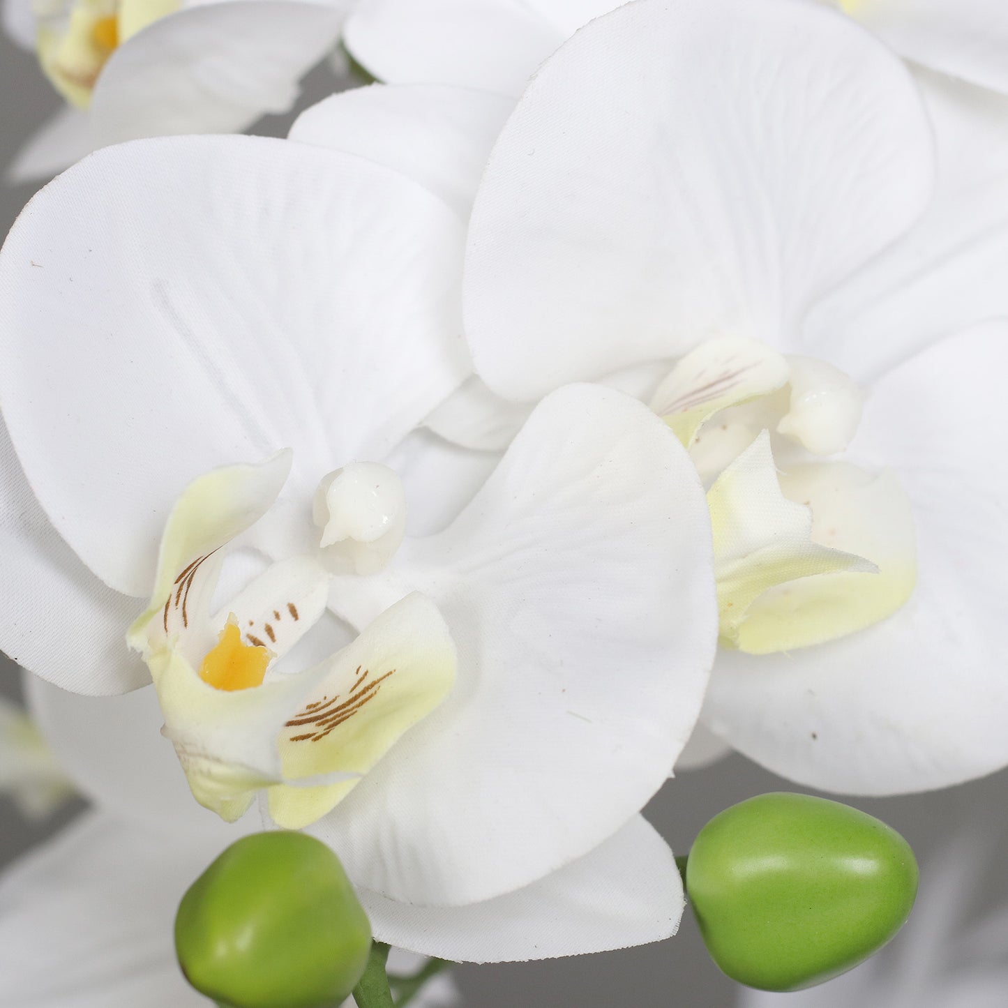 Detailbild weiße Blüten künstliche Signature Orchidee klein